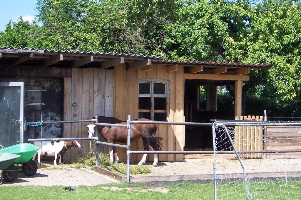 Landhotel Zum Adler Oberbechingen Dış mekan fotoğraf